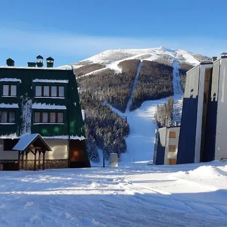 Daire Comfort & Free Parking