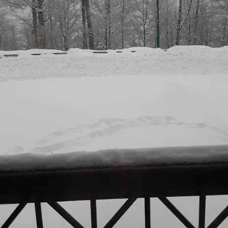 Daire Comfort & Free Parking *